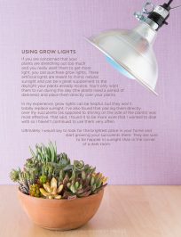 Grow Lights