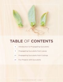 Table of Contents for Propagating Succulents