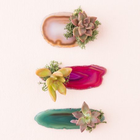 agate succulent party favor