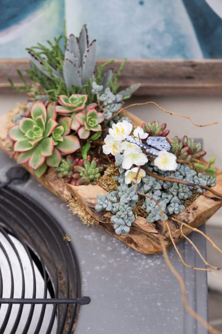 succulent arrangement decoration on air conditioning unit