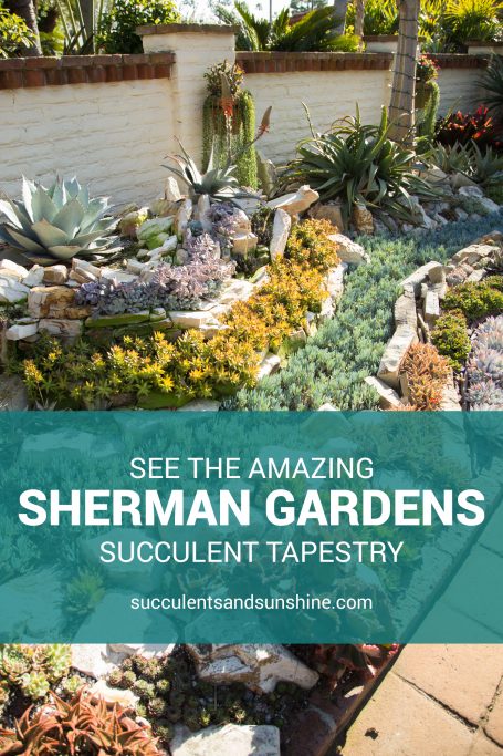 amazing sherman gardens succulent tapestry