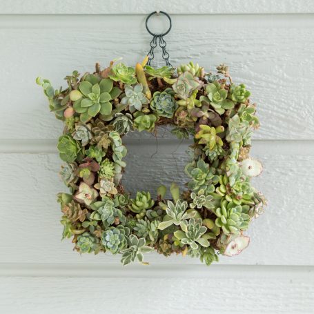 before succulent wreath