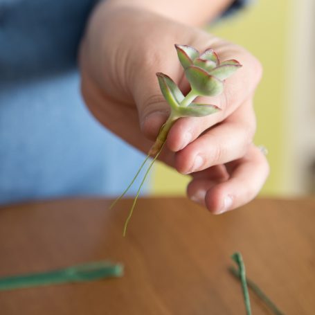 bend wire around succulent stem to use for boutonniere diy