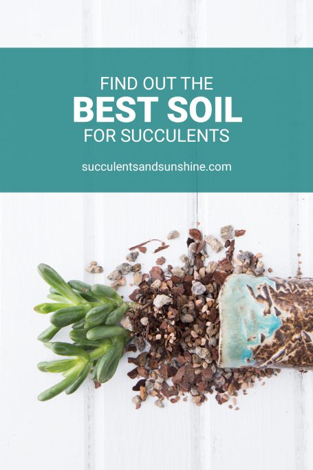 best soil for potted succulents well draining gritty mix