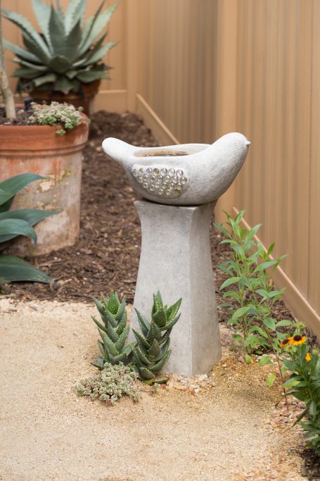 bird bath with agave and aloes