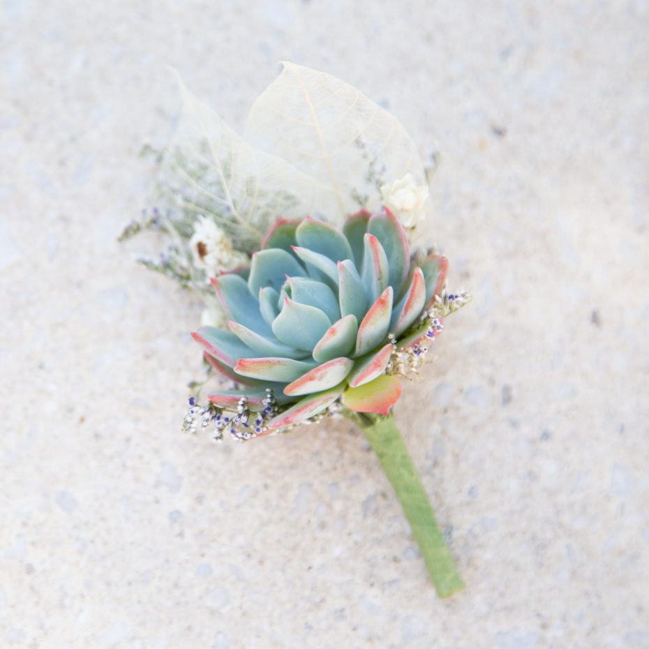 blue echeveria pink tips boutonniere purple white accents