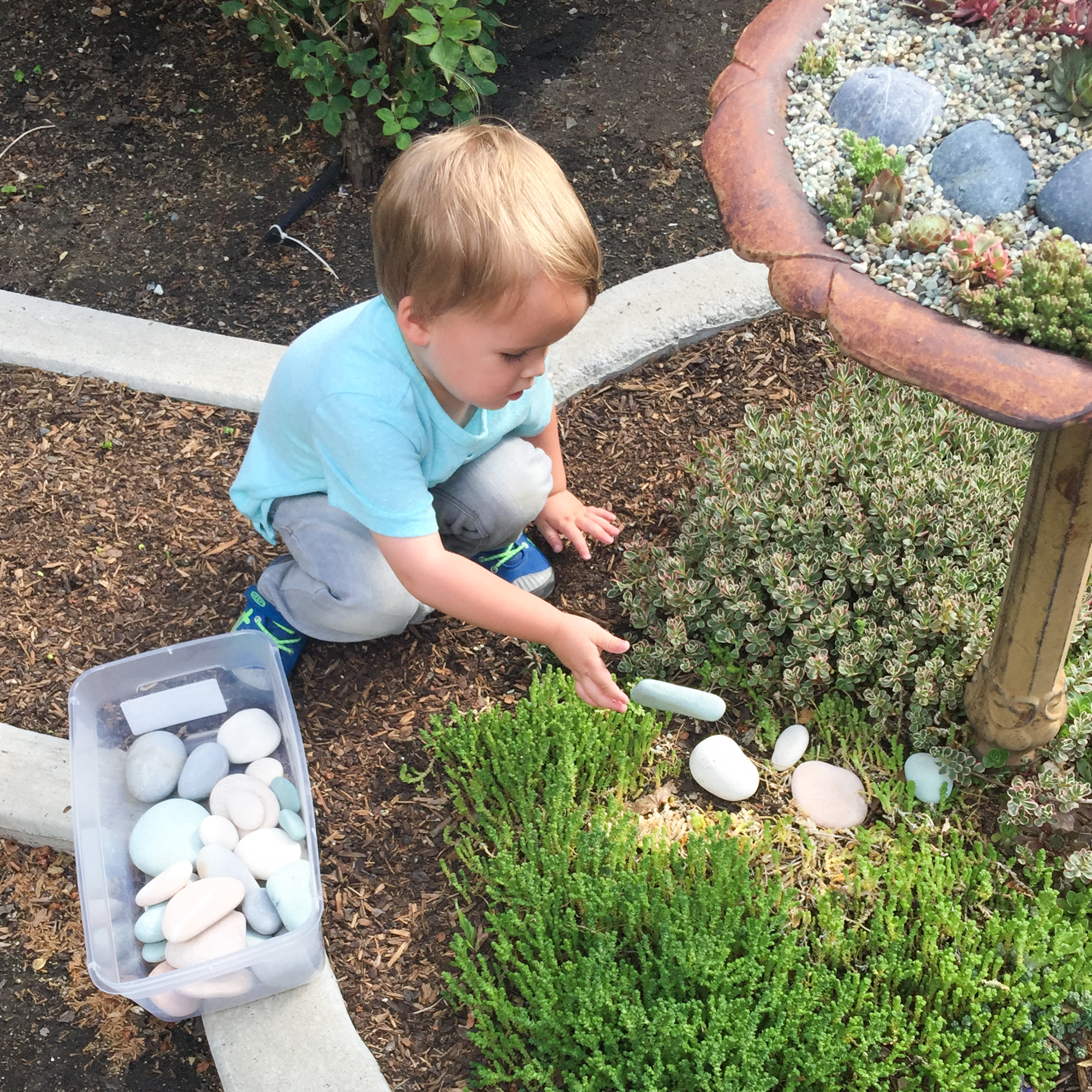 boy placing rocks succulent garden