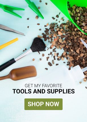 succulent tools ad