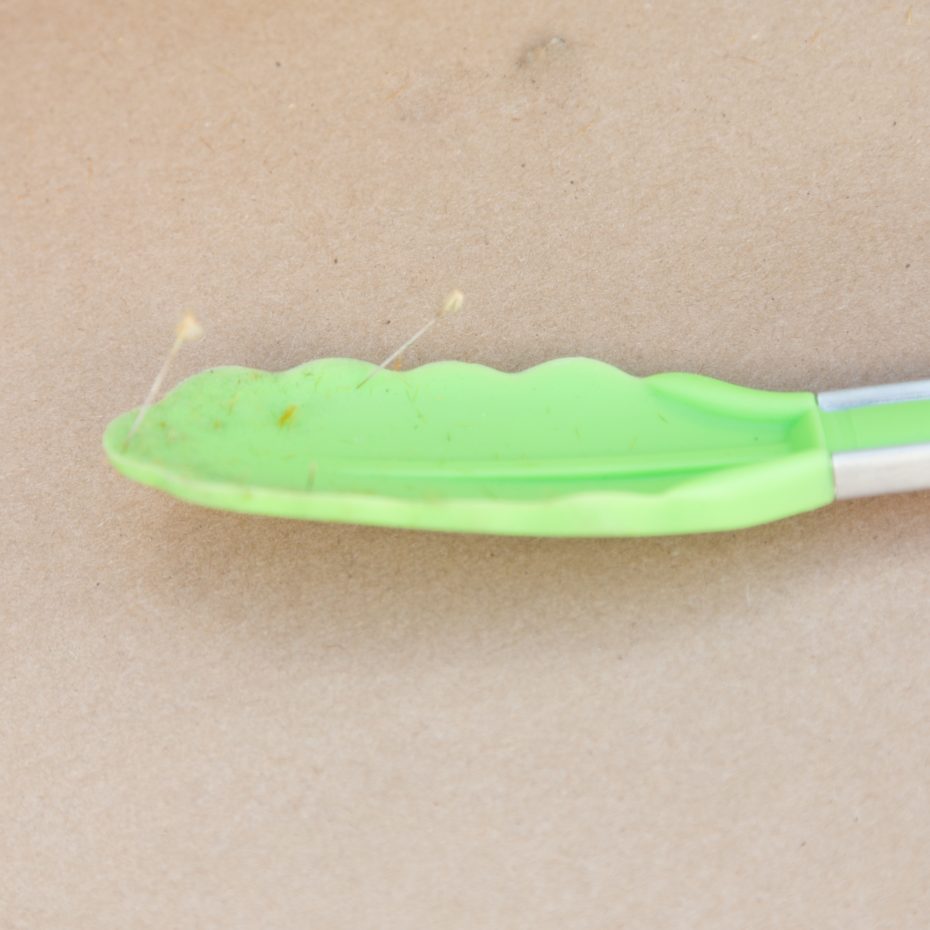 silicone tongs with cactus spines stuck in them