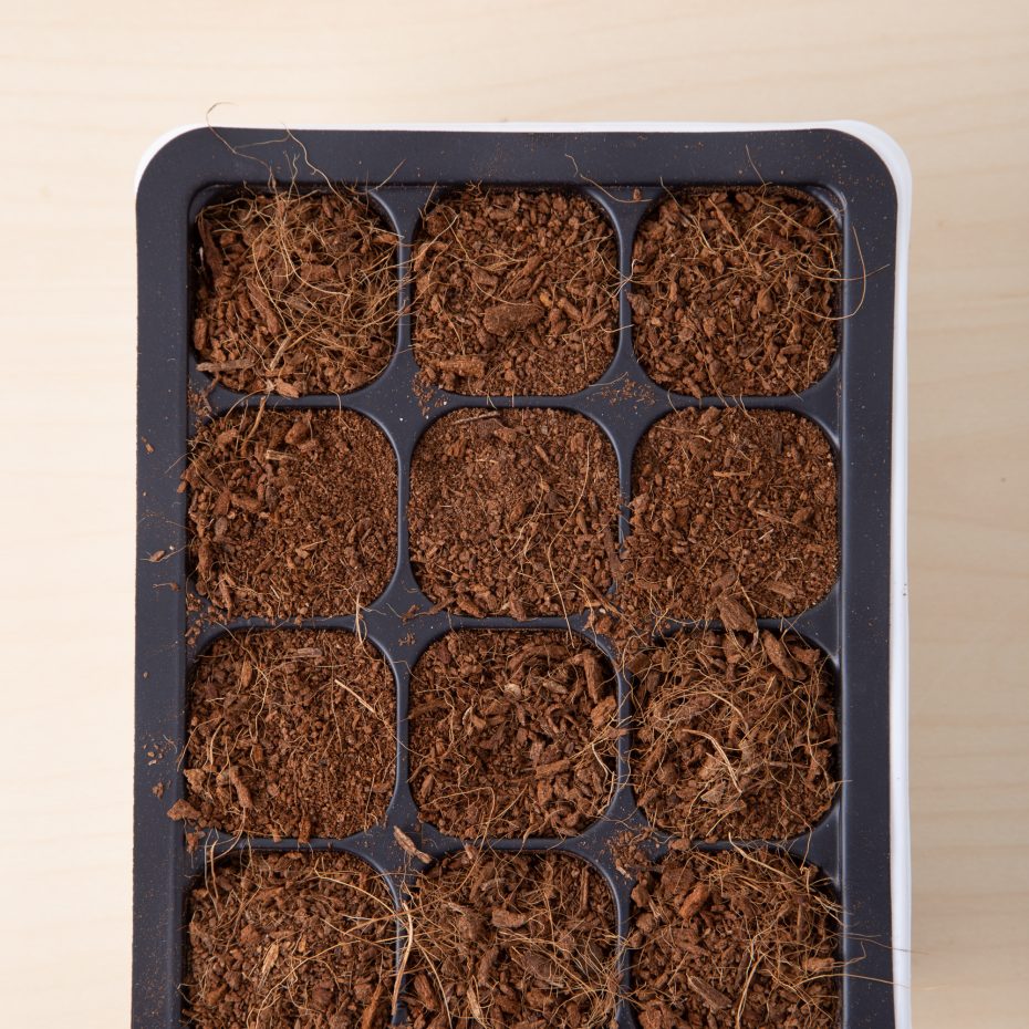 coconut coir for succulent seeds