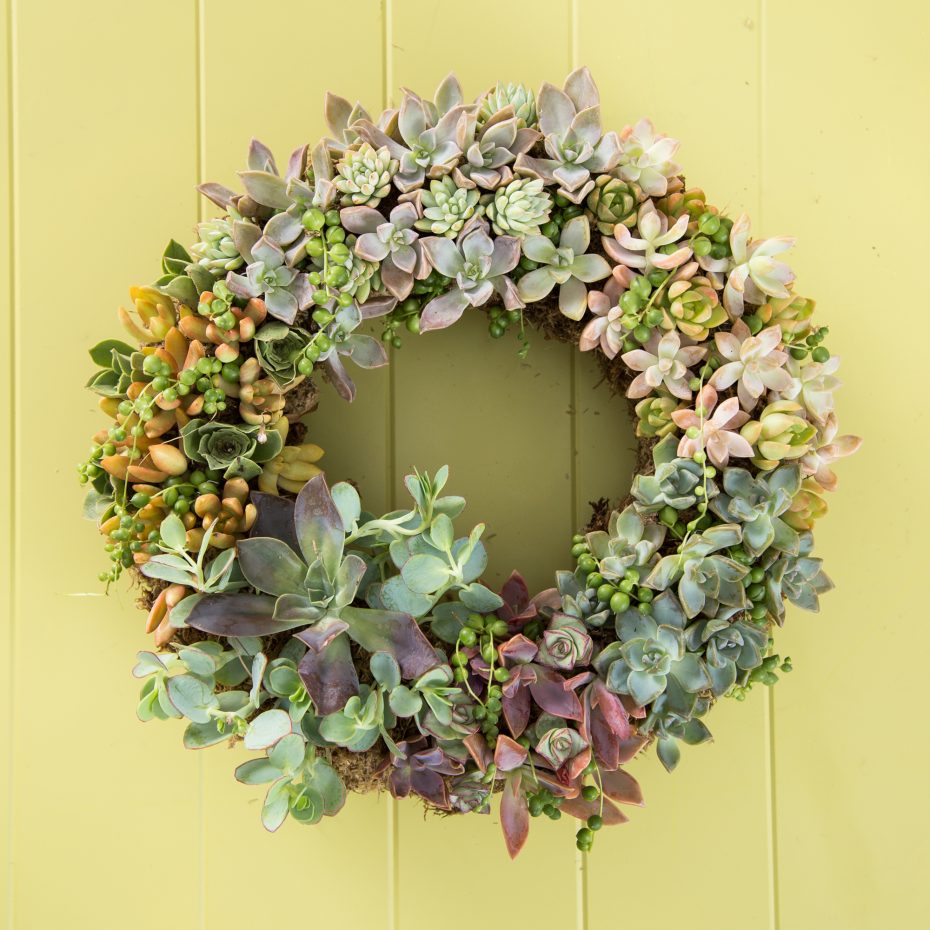 colorful succulent wreath