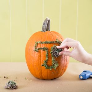 outline letter with small succulents to create monogram on pumpkin