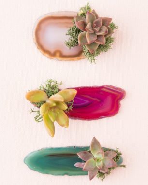 agate succulent party favor