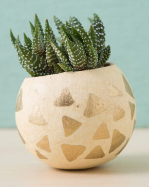 triangle gold pen painted bell cup succulent planter haworthiopsis