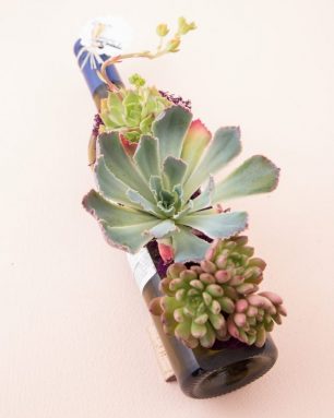 looking sharp cactus wine bottle planter