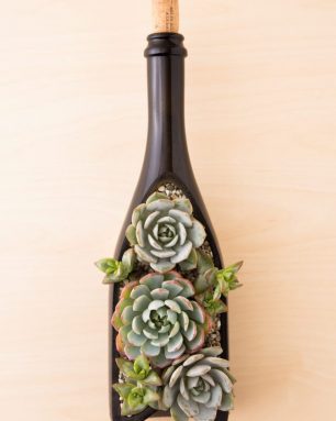 cropped-succulents-in-wine-bottle-planter.jpg