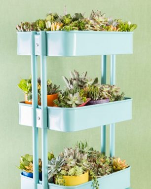 raskog ikea cart blue full of succulent plants