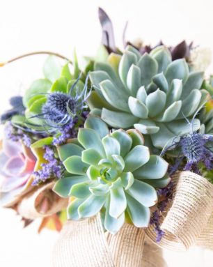 cropped-turn-succulent-brial-bouquet-into-potted-arrangement.jpg