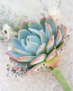 cropped-ultimate-resource-succulent-wedding-boutonniere.jpg