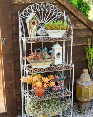 wire shelf succulents in pots