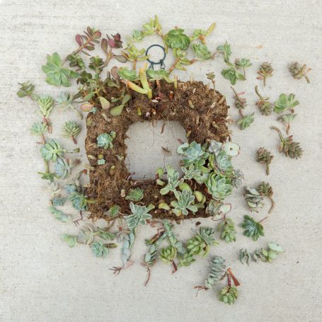 deconstructing succulent wreath