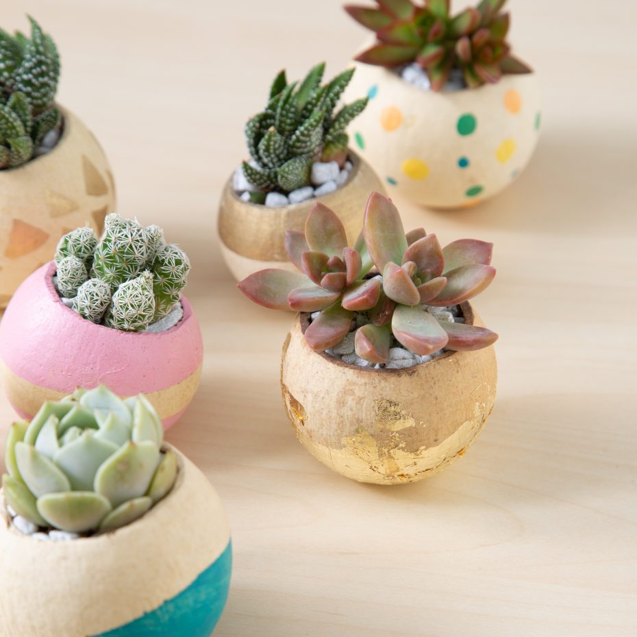 painted bell cups filled with succulents