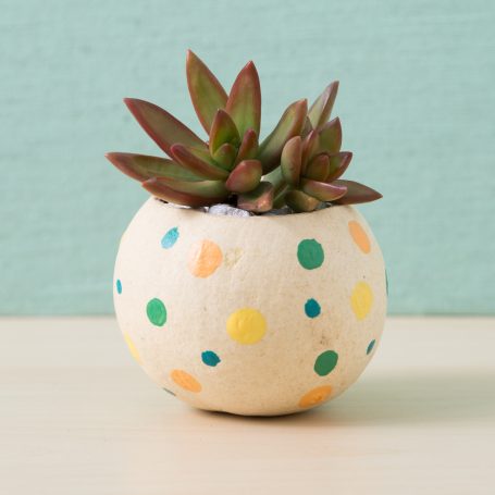 polka dot painted diy bell cup succulent planter