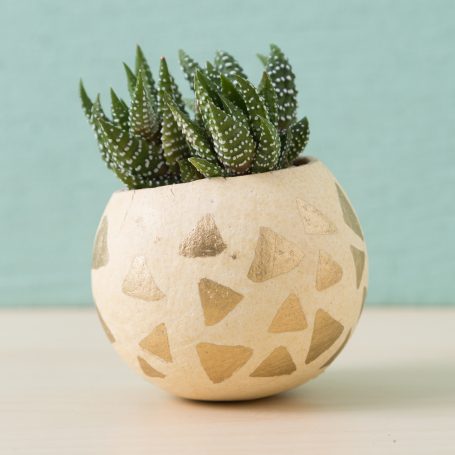 triangle gold pen painted bell cup succulent planter haworthiopsis