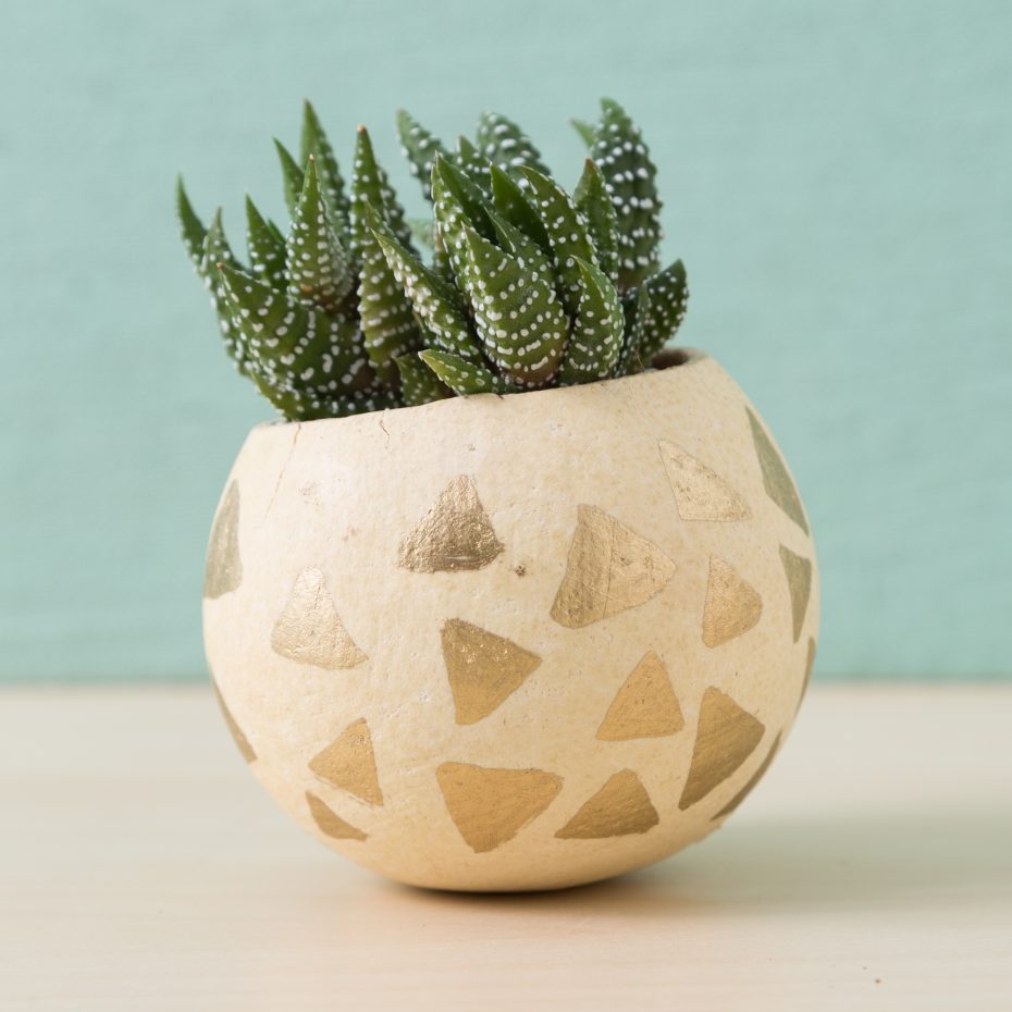 triangle gold pen painted bell cup succulent planter haworthiopsis