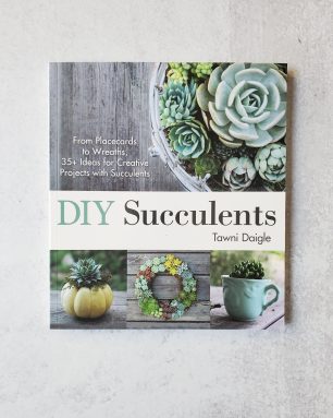 diy succulents book