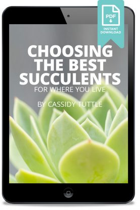 ebook ipad choosing best succulents