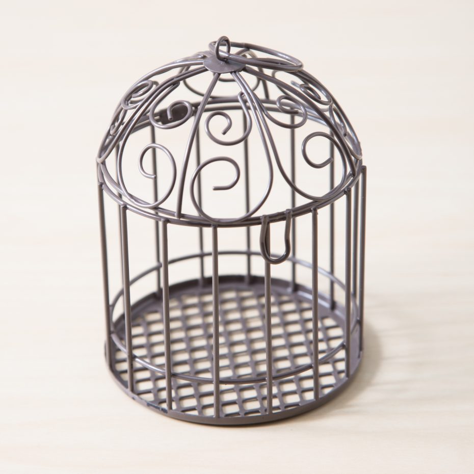 empty birdcage mini succulent garden