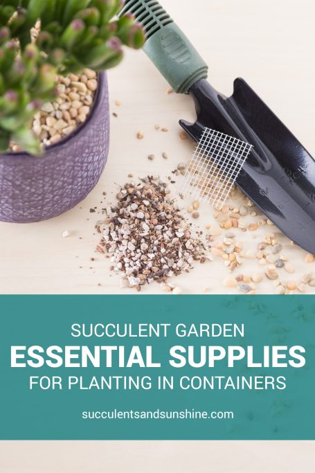 essential supplies planting succulent container garden