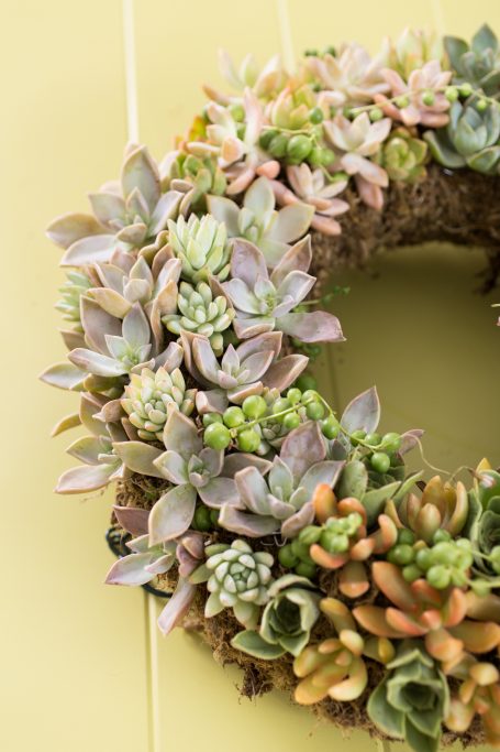 finished succulent wreath fred ives