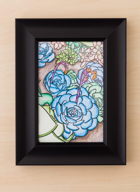 coloring succulent card black frame