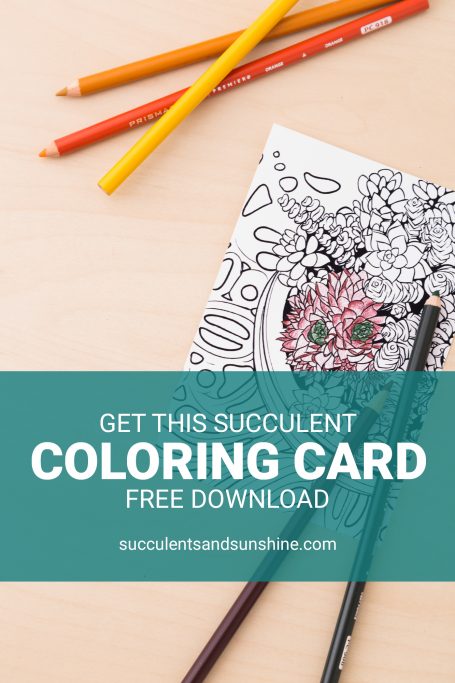 free downloadable succulent coloring postcard