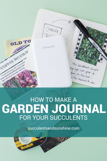 how to make garden journal succulent printer souvenirs