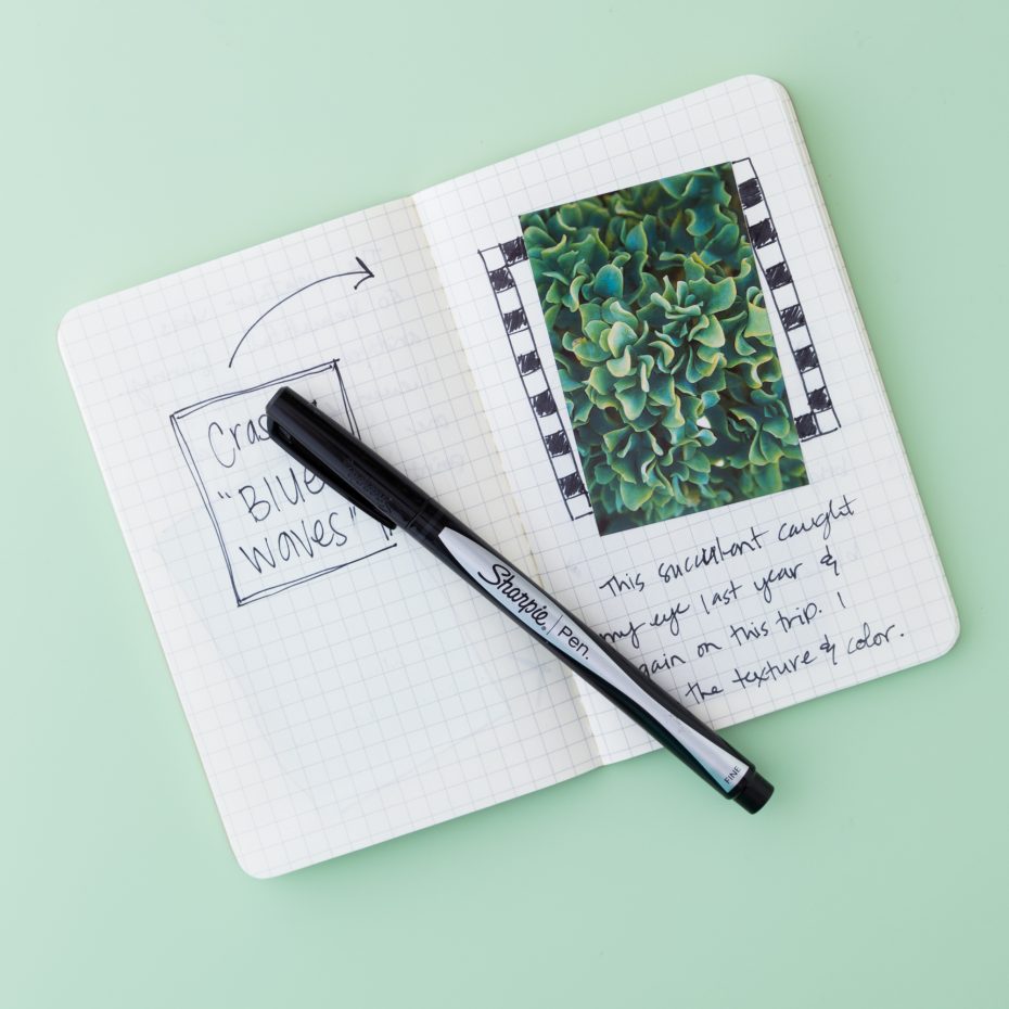 green succulent journal text writing pen souvenir travel notebook