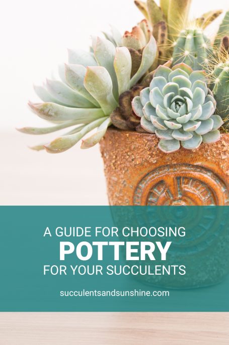 how to choose the best pottery for succulents susan aach ceramics echeveria kalanchoe blue orange brown