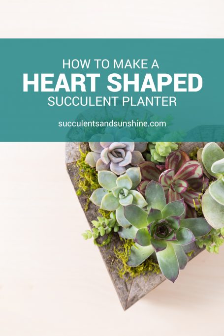 how to make heart shaped succulent planter gift tutorial