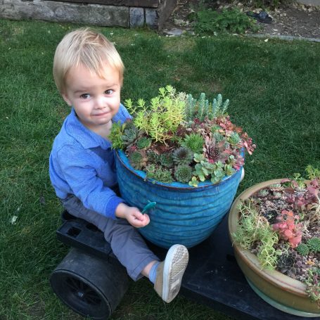 henry helping move succulents cart