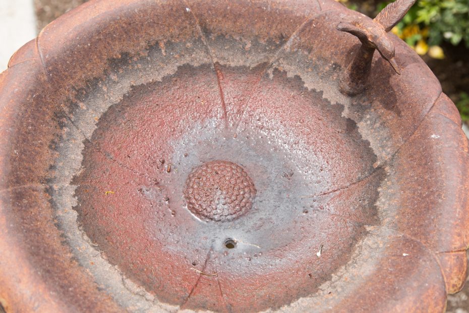 hole in bird bath for drainage planter