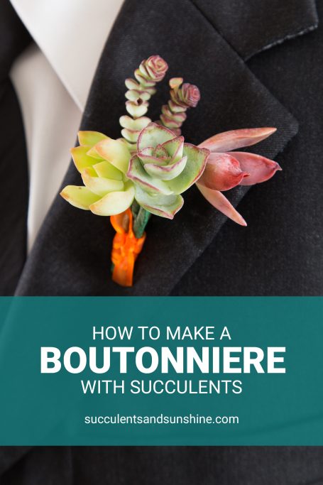 DIY succulent boutonniere tutorial wedding