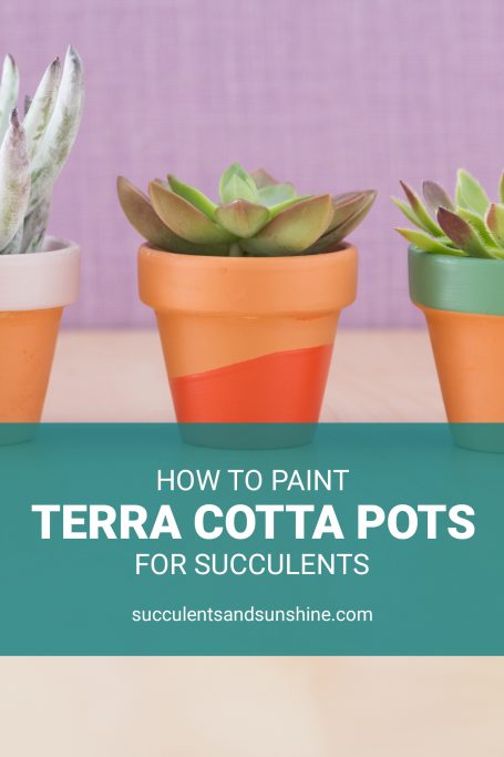 how to paint terra cotta pots for succulents