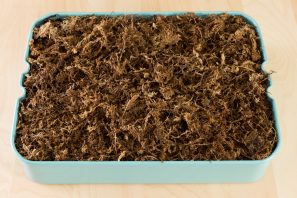 sphagnum moss filled tray ikea raskog cart