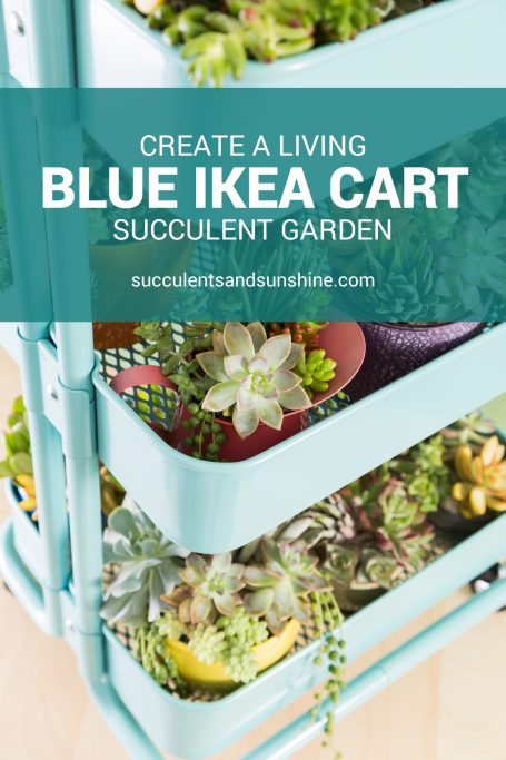 create a garden in an ikea cart