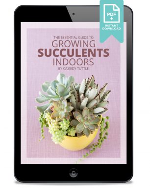 indoor succs ebook