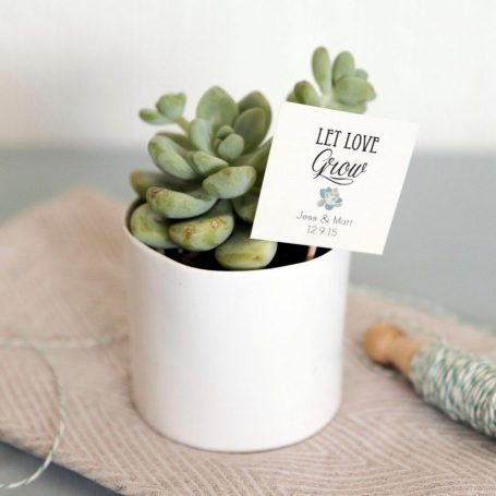 let love grow succulent favor idea