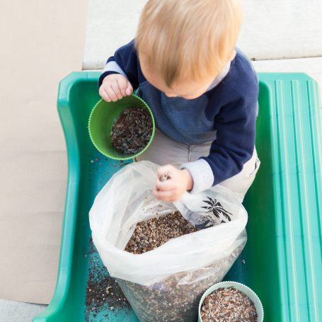 boy helping plant succulents scooping well draining soil kids