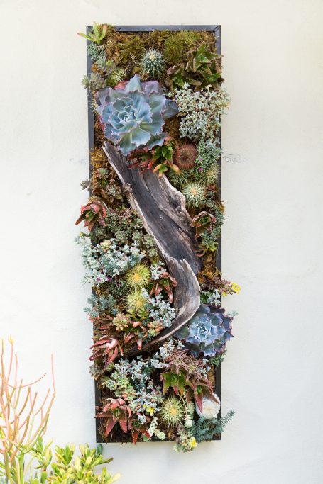 lush succulent tapestry wall hanging